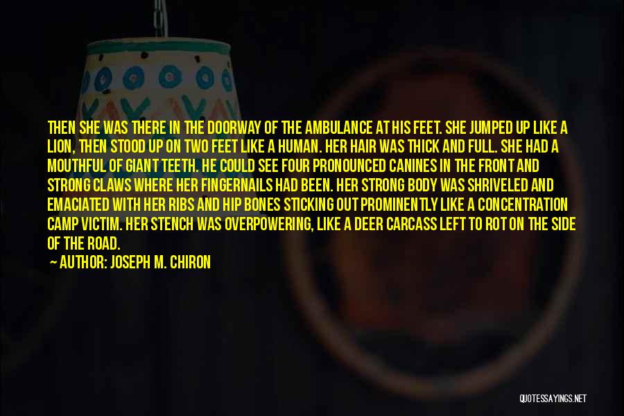 Joseph M. Chiron Quotes: Then She Was There In The Doorway Of The Ambulance At His Feet. She Jumped Up Like A Lion, Then