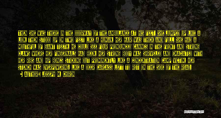 Joseph M. Chiron Quotes: Then She Was There In The Doorway Of The Ambulance At His Feet. She Jumped Up Like A Lion, Then