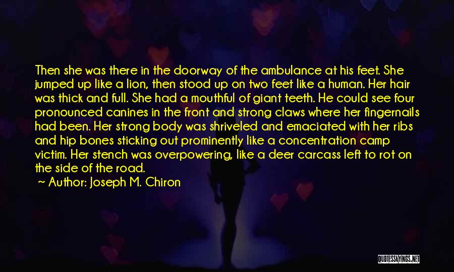 Joseph M. Chiron Quotes: Then She Was There In The Doorway Of The Ambulance At His Feet. She Jumped Up Like A Lion, Then