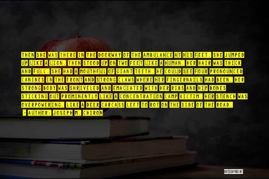 Joseph M. Chiron Quotes: Then She Was There In The Doorway Of The Ambulance At His Feet. She Jumped Up Like A Lion, Then