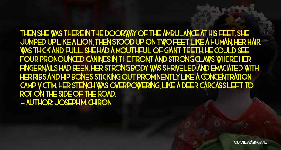 Joseph M. Chiron Quotes: Then She Was There In The Doorway Of The Ambulance At His Feet. She Jumped Up Like A Lion, Then