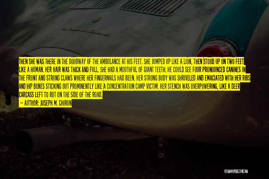 Joseph M. Chiron Quotes: Then She Was There In The Doorway Of The Ambulance At His Feet. She Jumped Up Like A Lion, Then