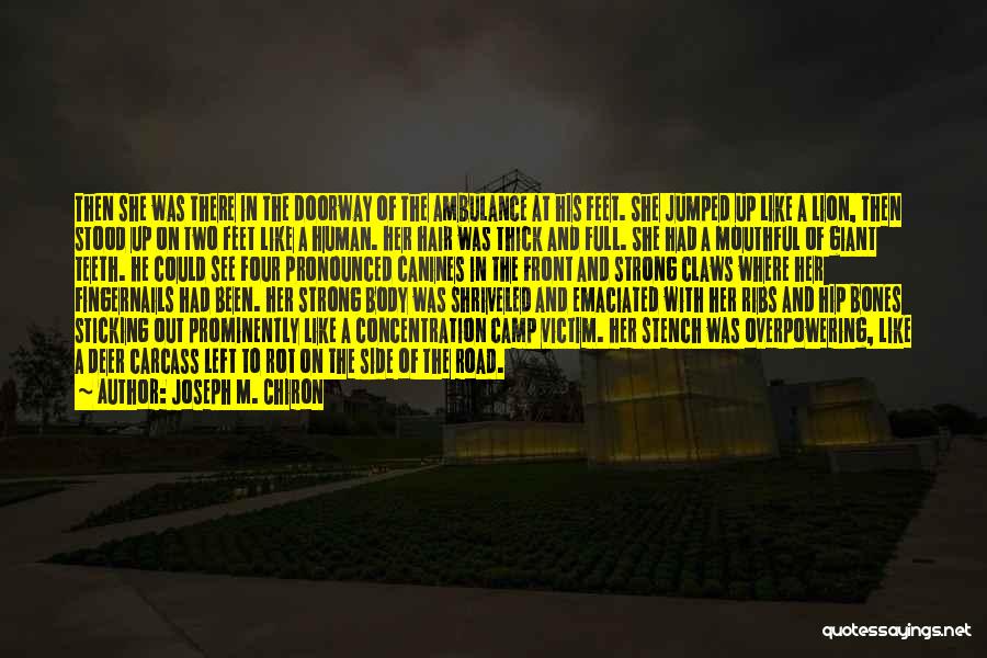 Joseph M. Chiron Quotes: Then She Was There In The Doorway Of The Ambulance At His Feet. She Jumped Up Like A Lion, Then