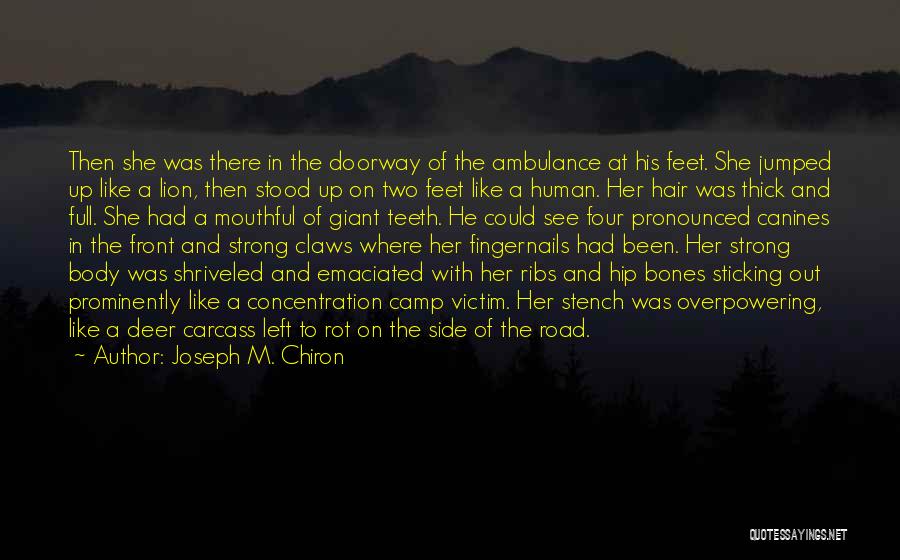 Joseph M. Chiron Quotes: Then She Was There In The Doorway Of The Ambulance At His Feet. She Jumped Up Like A Lion, Then