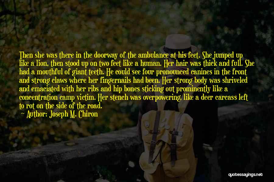 Joseph M. Chiron Quotes: Then She Was There In The Doorway Of The Ambulance At His Feet. She Jumped Up Like A Lion, Then