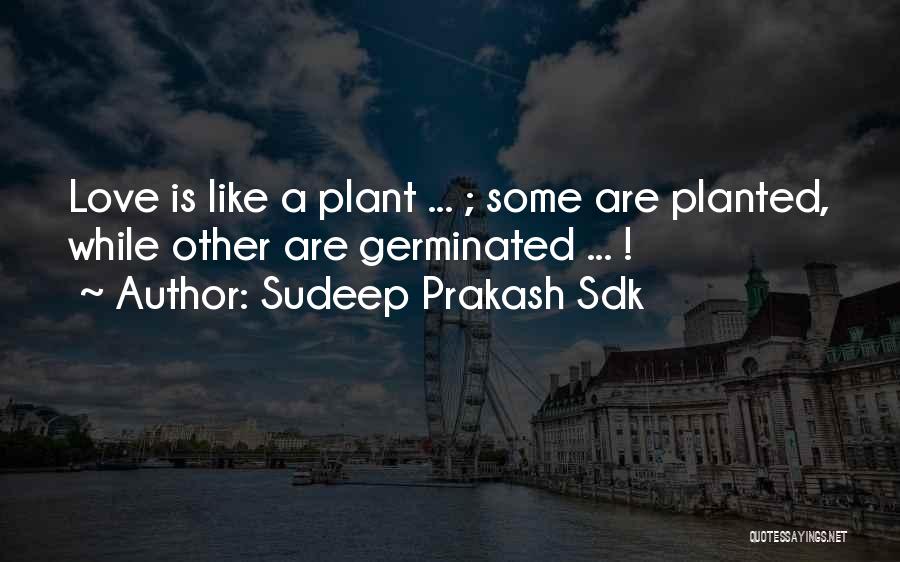 Sudeep Prakash Sdk Quotes: Love Is Like A Plant ... ; Some Are Planted, While Other Are Germinated ... !
