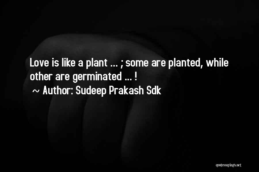 Sudeep Prakash Sdk Quotes: Love Is Like A Plant ... ; Some Are Planted, While Other Are Germinated ... !