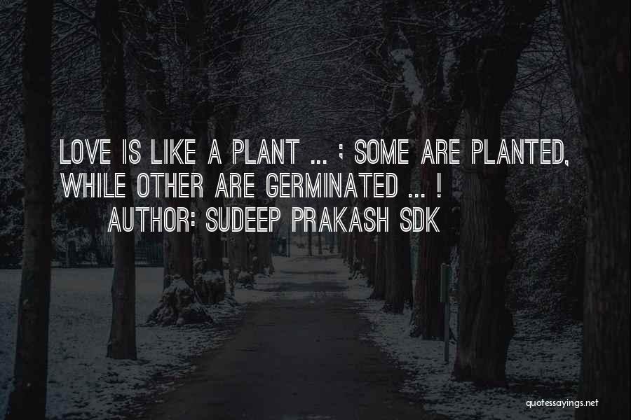 Sudeep Prakash Sdk Quotes: Love Is Like A Plant ... ; Some Are Planted, While Other Are Germinated ... !