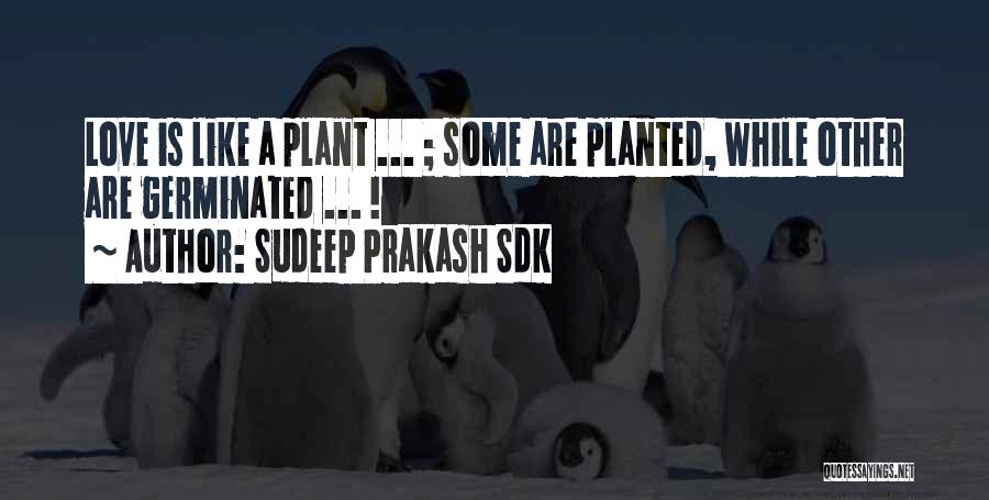 Sudeep Prakash Sdk Quotes: Love Is Like A Plant ... ; Some Are Planted, While Other Are Germinated ... !