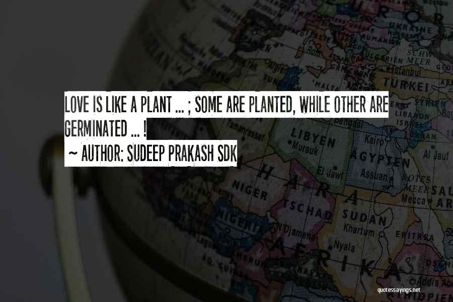 Sudeep Prakash Sdk Quotes: Love Is Like A Plant ... ; Some Are Planted, While Other Are Germinated ... !