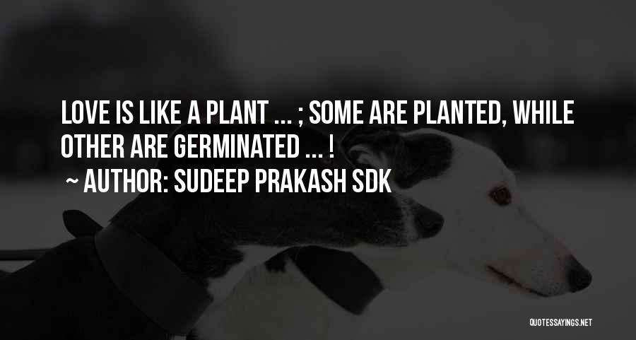 Sudeep Prakash Sdk Quotes: Love Is Like A Plant ... ; Some Are Planted, While Other Are Germinated ... !