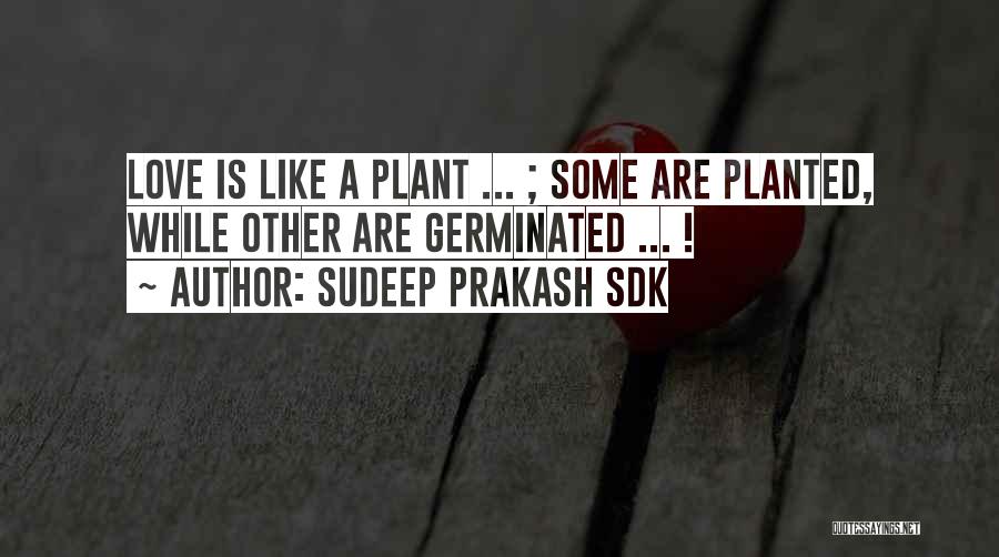 Sudeep Prakash Sdk Quotes: Love Is Like A Plant ... ; Some Are Planted, While Other Are Germinated ... !