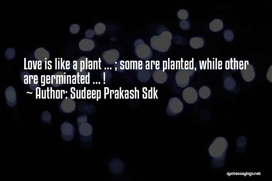 Sudeep Prakash Sdk Quotes: Love Is Like A Plant ... ; Some Are Planted, While Other Are Germinated ... !