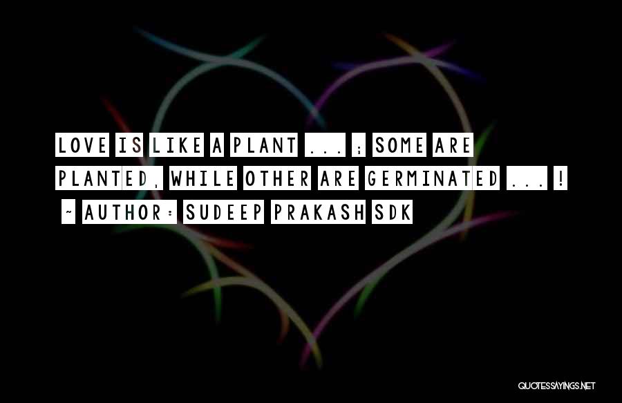 Sudeep Prakash Sdk Quotes: Love Is Like A Plant ... ; Some Are Planted, While Other Are Germinated ... !