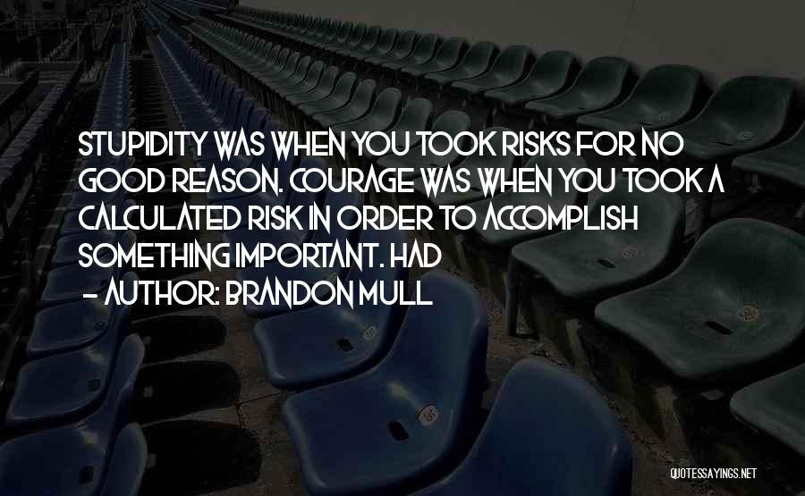 Brandon Mull Quotes: Stupidity Was When You Took Risks For No Good Reason. Courage Was When You Took A Calculated Risk In Order