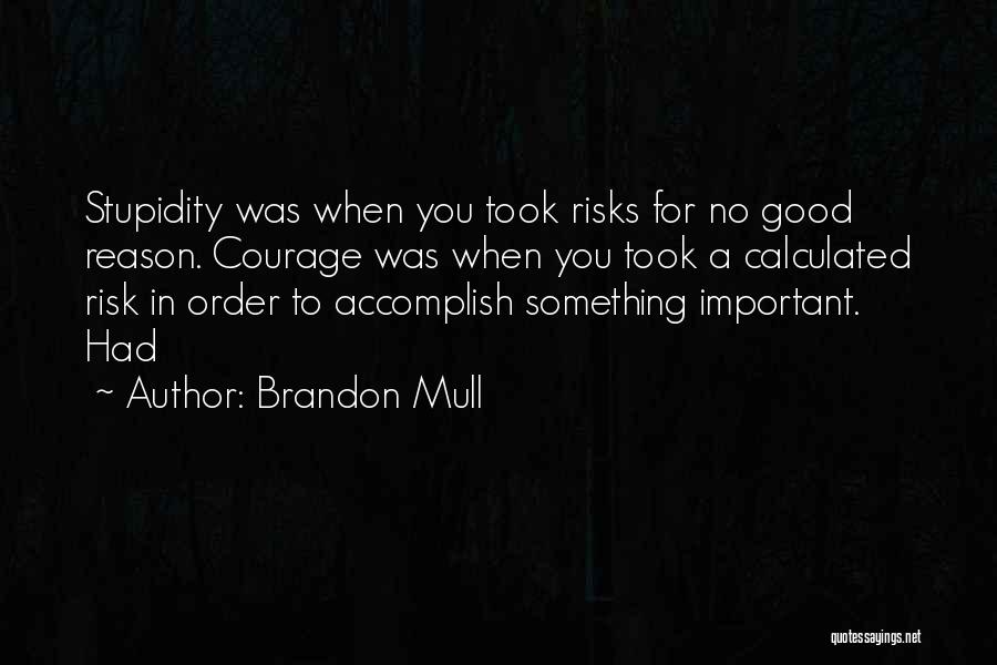 Brandon Mull Quotes: Stupidity Was When You Took Risks For No Good Reason. Courage Was When You Took A Calculated Risk In Order