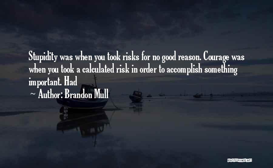 Brandon Mull Quotes: Stupidity Was When You Took Risks For No Good Reason. Courage Was When You Took A Calculated Risk In Order