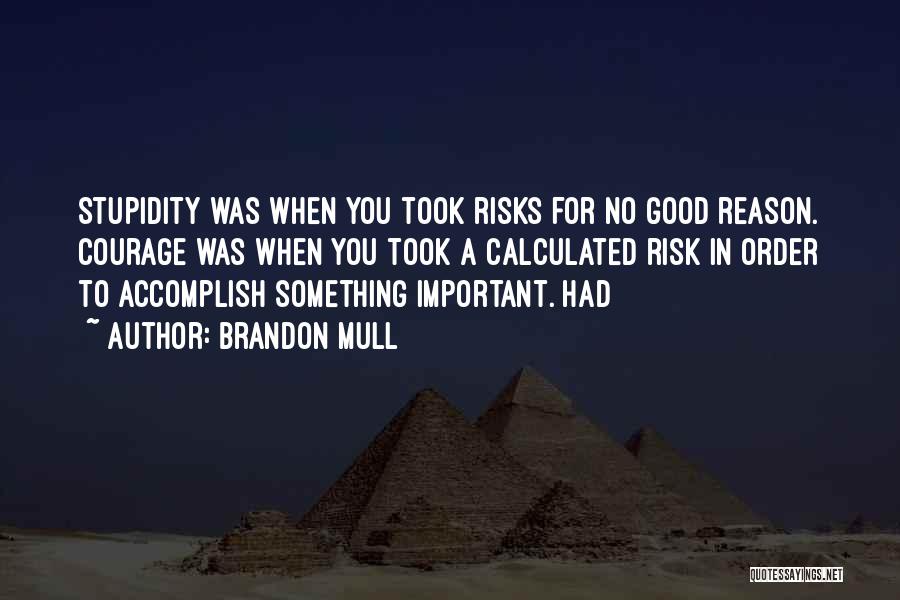 Brandon Mull Quotes: Stupidity Was When You Took Risks For No Good Reason. Courage Was When You Took A Calculated Risk In Order