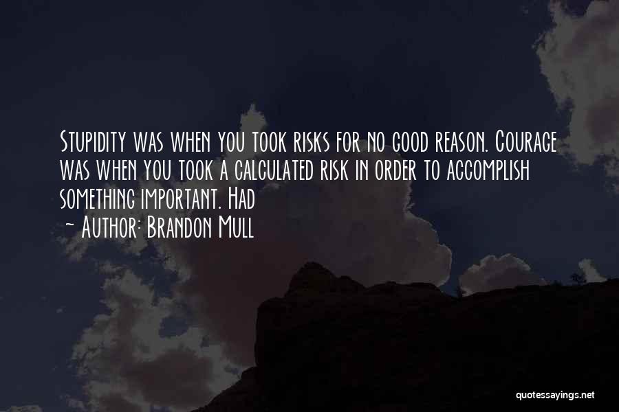 Brandon Mull Quotes: Stupidity Was When You Took Risks For No Good Reason. Courage Was When You Took A Calculated Risk In Order