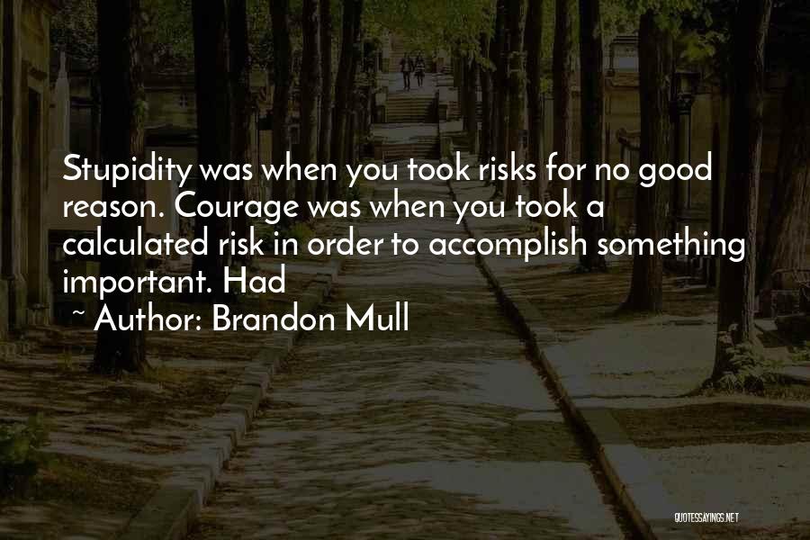 Brandon Mull Quotes: Stupidity Was When You Took Risks For No Good Reason. Courage Was When You Took A Calculated Risk In Order