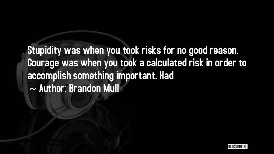 Brandon Mull Quotes: Stupidity Was When You Took Risks For No Good Reason. Courage Was When You Took A Calculated Risk In Order