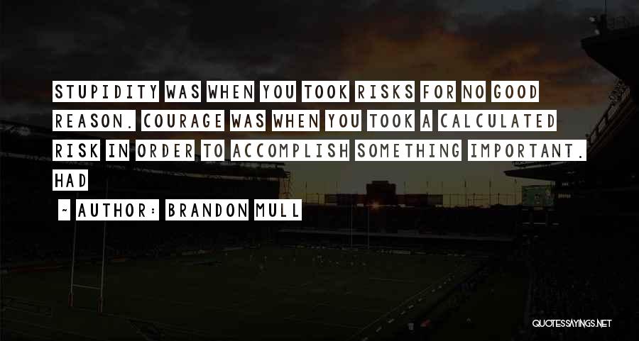 Brandon Mull Quotes: Stupidity Was When You Took Risks For No Good Reason. Courage Was When You Took A Calculated Risk In Order