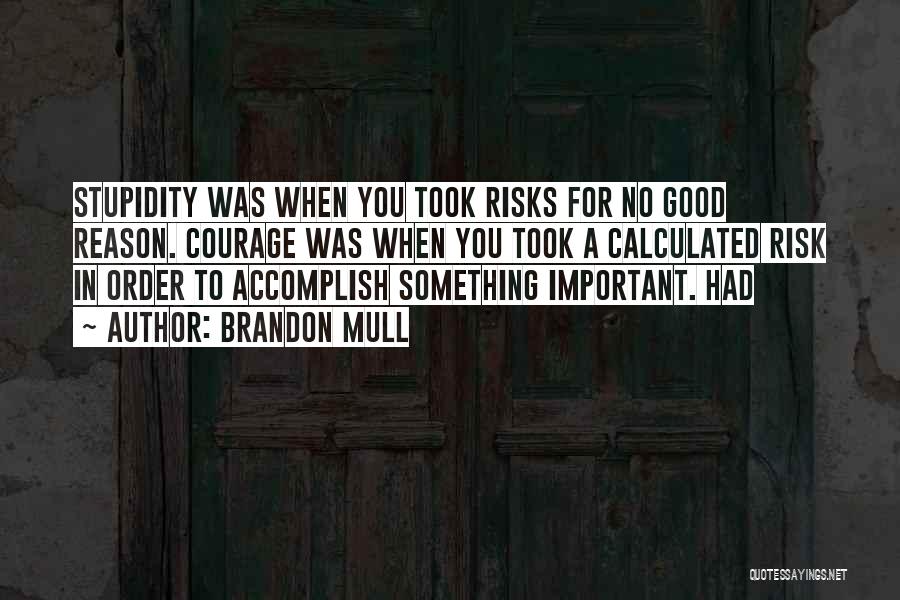 Brandon Mull Quotes: Stupidity Was When You Took Risks For No Good Reason. Courage Was When You Took A Calculated Risk In Order