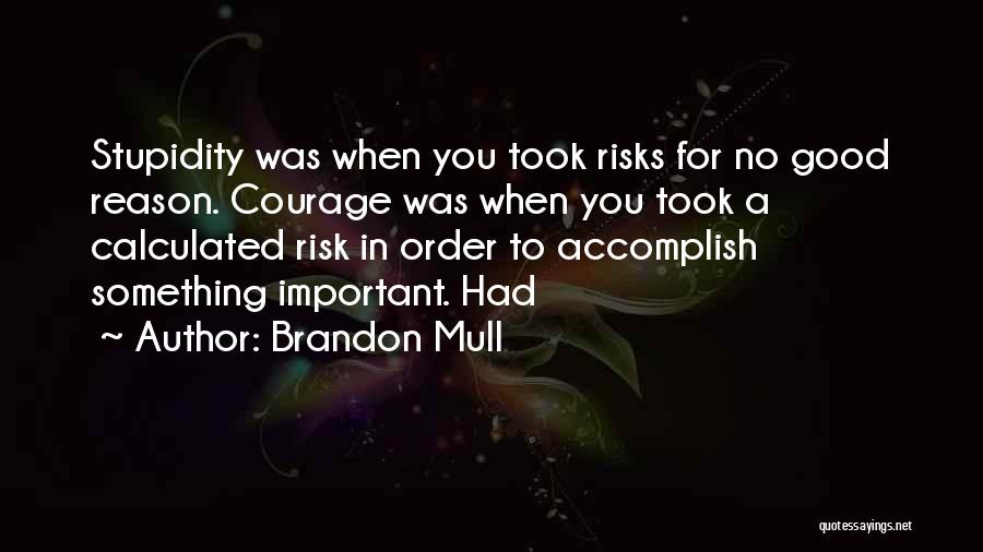 Brandon Mull Quotes: Stupidity Was When You Took Risks For No Good Reason. Courage Was When You Took A Calculated Risk In Order