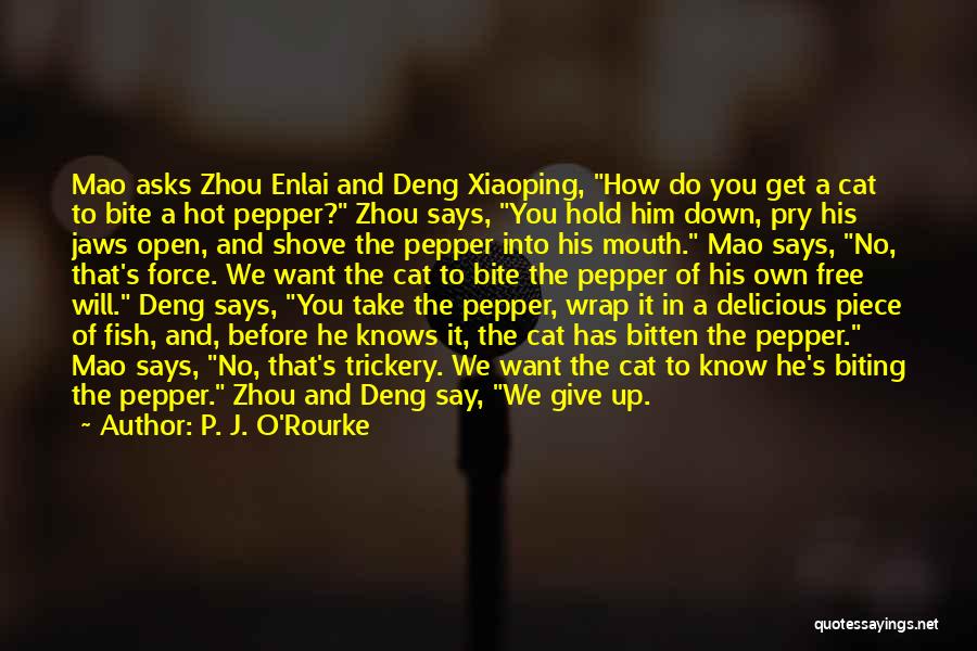 P. J. O'Rourke Quotes: Mao Asks Zhou Enlai And Deng Xiaoping, How Do You Get A Cat To Bite A Hot Pepper? Zhou Says,