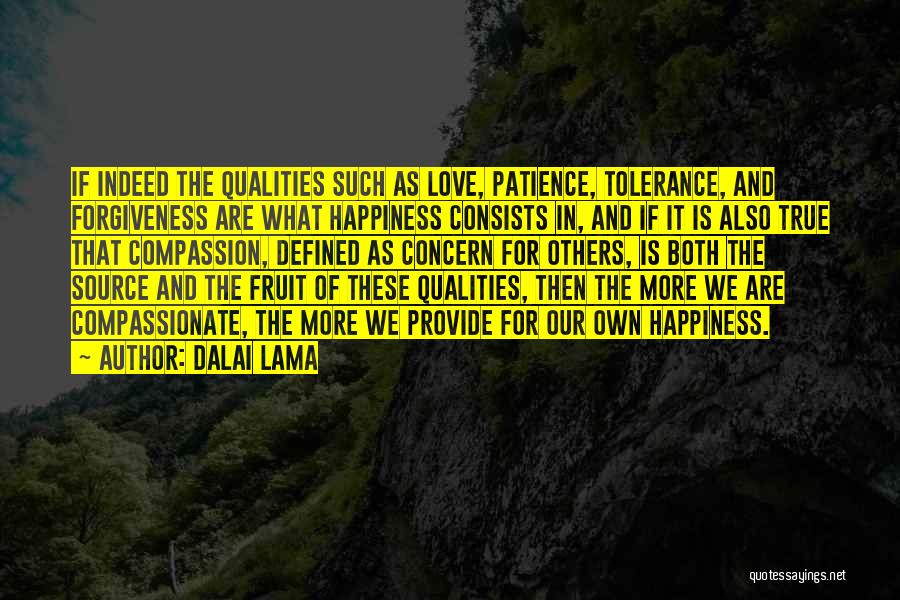 Dalai Lama Quotes: If Indeed The Qualities Such As Love, Patience, Tolerance, And Forgiveness Are What Happiness Consists In, And If It Is