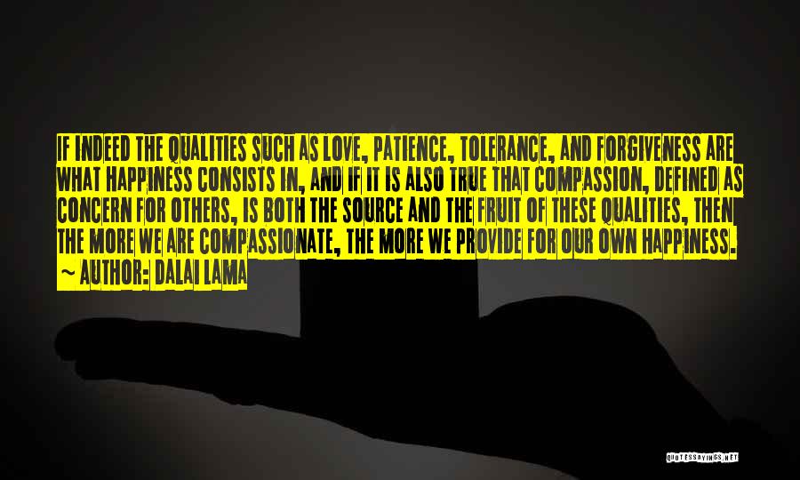 Dalai Lama Quotes: If Indeed The Qualities Such As Love, Patience, Tolerance, And Forgiveness Are What Happiness Consists In, And If It Is