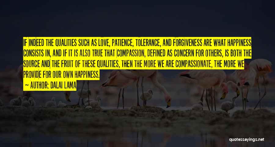 Dalai Lama Quotes: If Indeed The Qualities Such As Love, Patience, Tolerance, And Forgiveness Are What Happiness Consists In, And If It Is