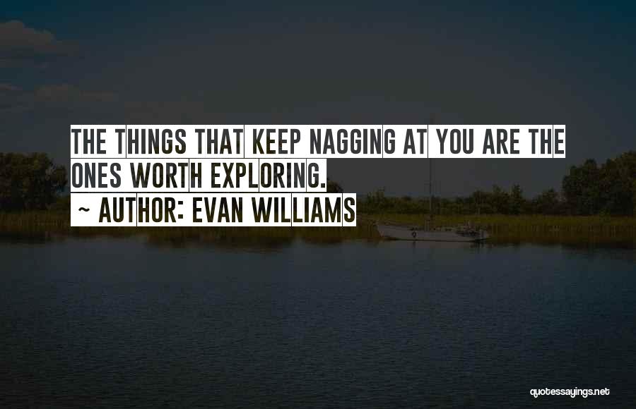 Evan Williams Quotes: The Things That Keep Nagging At You Are The Ones Worth Exploring.