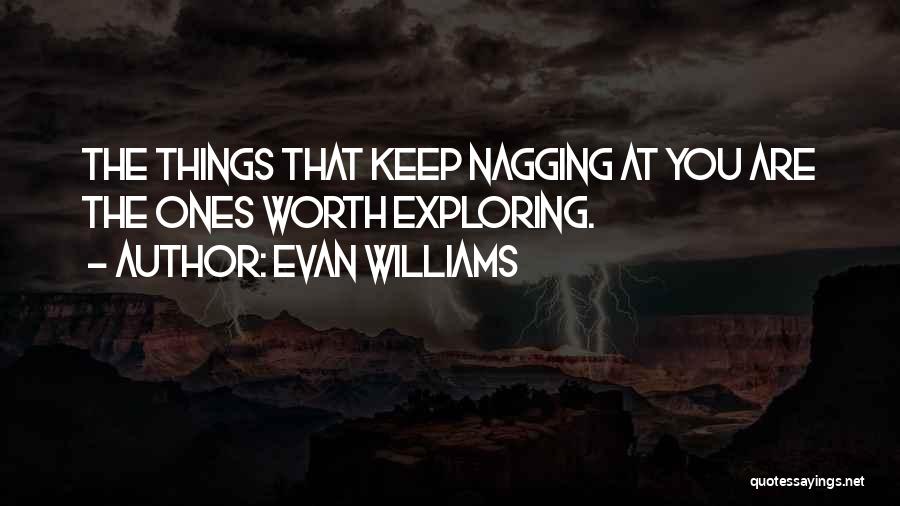 Evan Williams Quotes: The Things That Keep Nagging At You Are The Ones Worth Exploring.