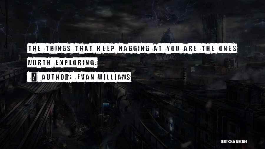 Evan Williams Quotes: The Things That Keep Nagging At You Are The Ones Worth Exploring.