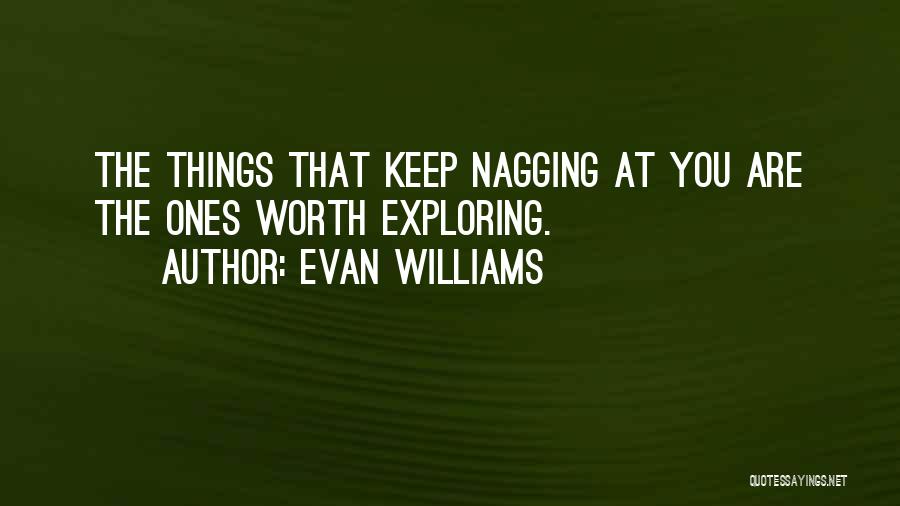 Evan Williams Quotes: The Things That Keep Nagging At You Are The Ones Worth Exploring.