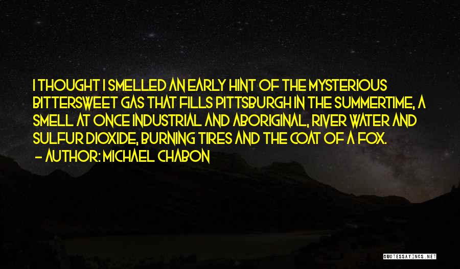 Michael Chabon Quotes: I Thought I Smelled An Early Hint Of The Mysterious Bittersweet Gas That Fills Pittsburgh In The Summertime, A Smell