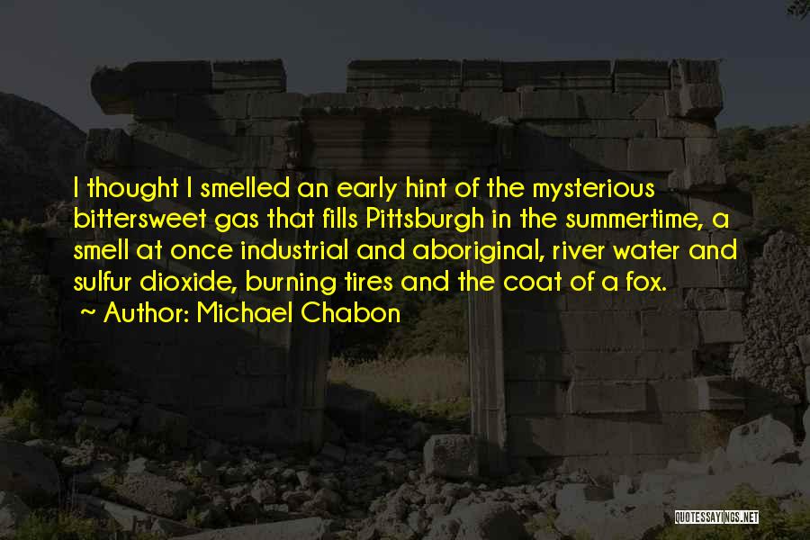 Michael Chabon Quotes: I Thought I Smelled An Early Hint Of The Mysterious Bittersweet Gas That Fills Pittsburgh In The Summertime, A Smell