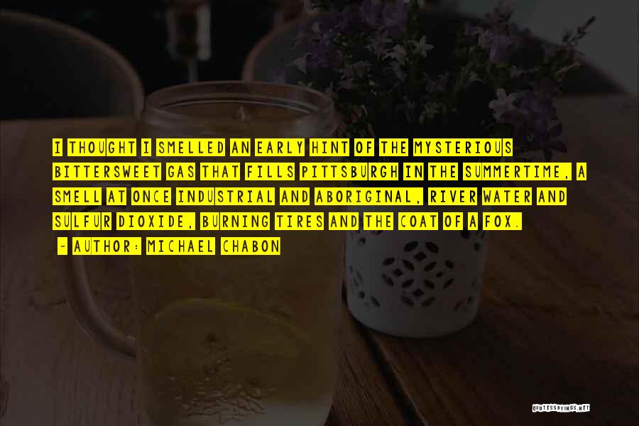 Michael Chabon Quotes: I Thought I Smelled An Early Hint Of The Mysterious Bittersweet Gas That Fills Pittsburgh In The Summertime, A Smell