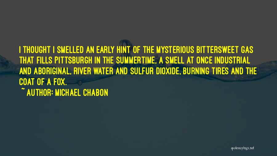 Michael Chabon Quotes: I Thought I Smelled An Early Hint Of The Mysterious Bittersweet Gas That Fills Pittsburgh In The Summertime, A Smell