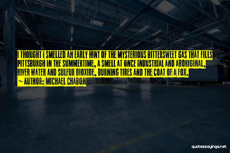 Michael Chabon Quotes: I Thought I Smelled An Early Hint Of The Mysterious Bittersweet Gas That Fills Pittsburgh In The Summertime, A Smell