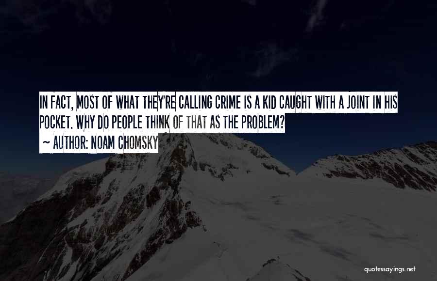 Noam Chomsky Quotes: In Fact, Most Of What They're Calling Crime Is A Kid Caught With A Joint In His Pocket. Why Do
