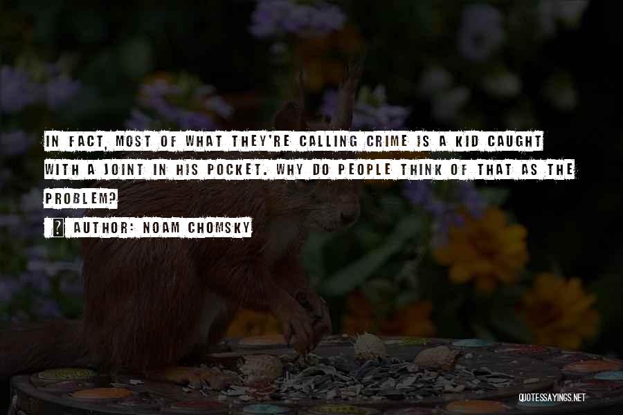 Noam Chomsky Quotes: In Fact, Most Of What They're Calling Crime Is A Kid Caught With A Joint In His Pocket. Why Do