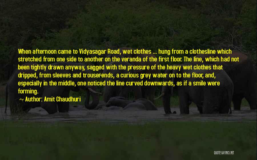 Amit Chaudhuri Quotes: When Afternoon Came To Vidyasagar Road, Wet Clothes ... Hung From A Clothesline Which Stretched From One Side To Another