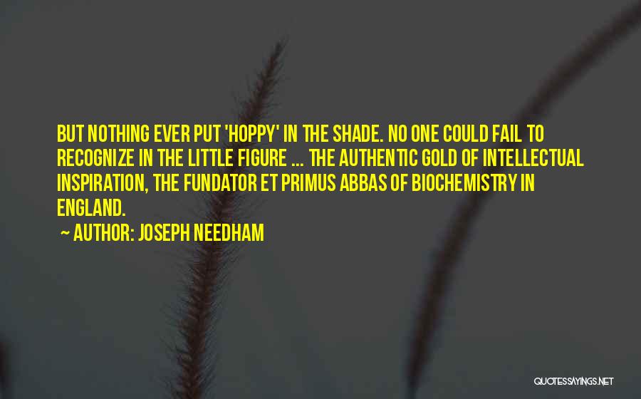 Joseph Needham Quotes: But Nothing Ever Put 'hoppy' In The Shade. No One Could Fail To Recognize In The Little Figure ... The
