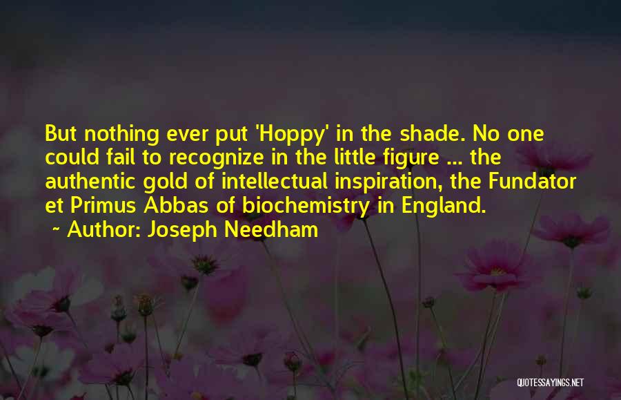 Joseph Needham Quotes: But Nothing Ever Put 'hoppy' In The Shade. No One Could Fail To Recognize In The Little Figure ... The