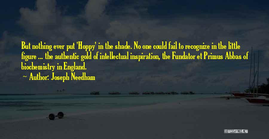 Joseph Needham Quotes: But Nothing Ever Put 'hoppy' In The Shade. No One Could Fail To Recognize In The Little Figure ... The