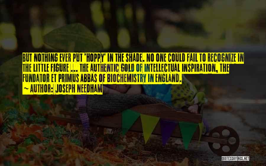 Joseph Needham Quotes: But Nothing Ever Put 'hoppy' In The Shade. No One Could Fail To Recognize In The Little Figure ... The