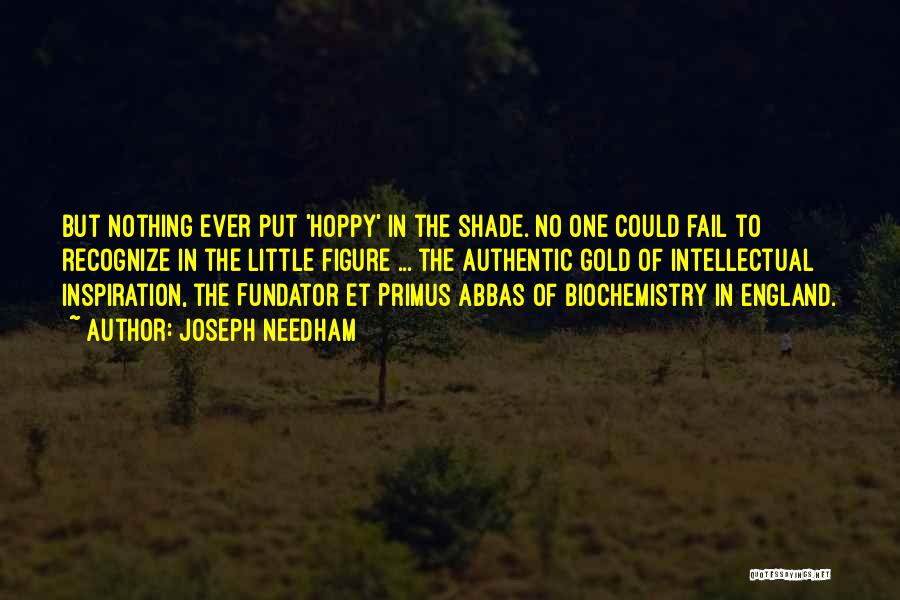 Joseph Needham Quotes: But Nothing Ever Put 'hoppy' In The Shade. No One Could Fail To Recognize In The Little Figure ... The