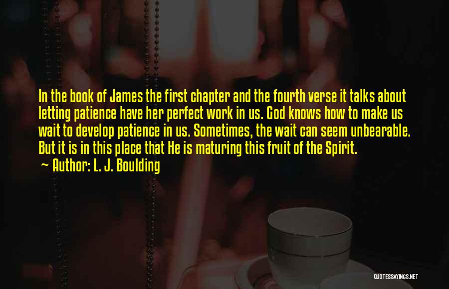 L. J. Boulding Quotes: In The Book Of James The First Chapter And The Fourth Verse It Talks About Letting Patience Have Her Perfect